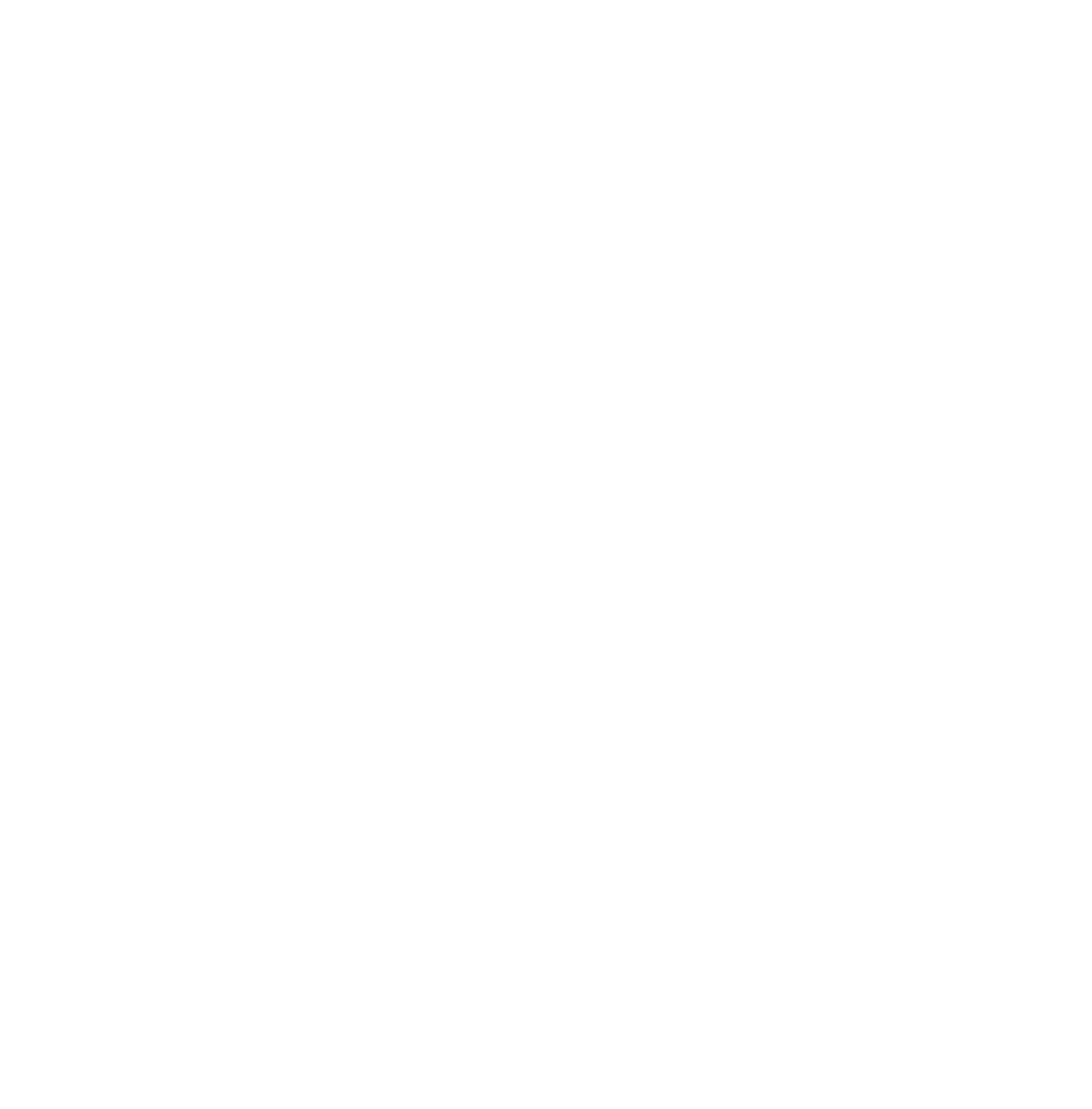 Destine Imports white Logo